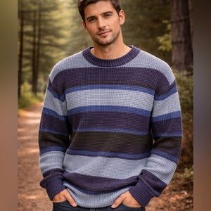 Sun River Men’s L Striped Waffle Knit Sweater Blue Brown Crewneck Acrylic